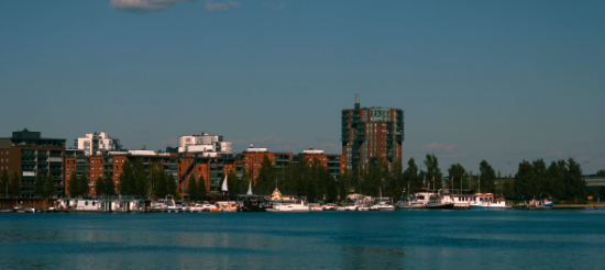 Website Agency Metsosivut Jyväskylä